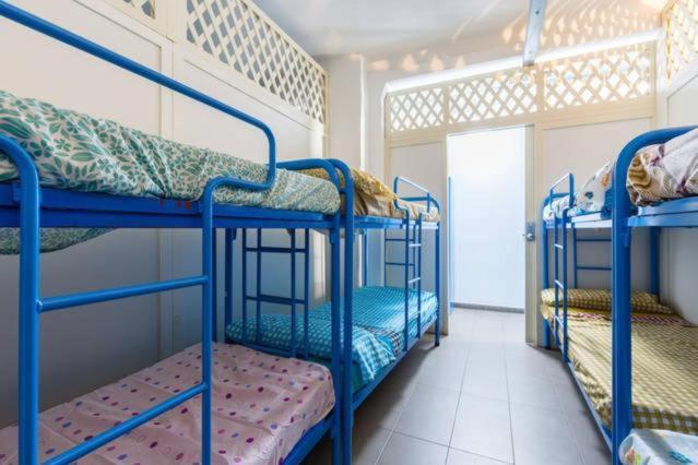 Albergue Bedcelona Gracia Hostel *